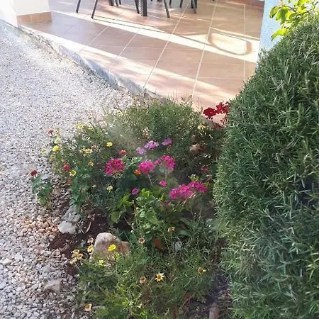 Apartamento Himka *
